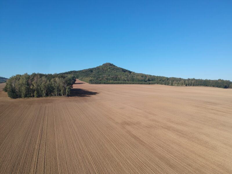 Na pierwszym planie pole, na drugim planie góra obrośnięta lasem, na tle błękitnego nieba.